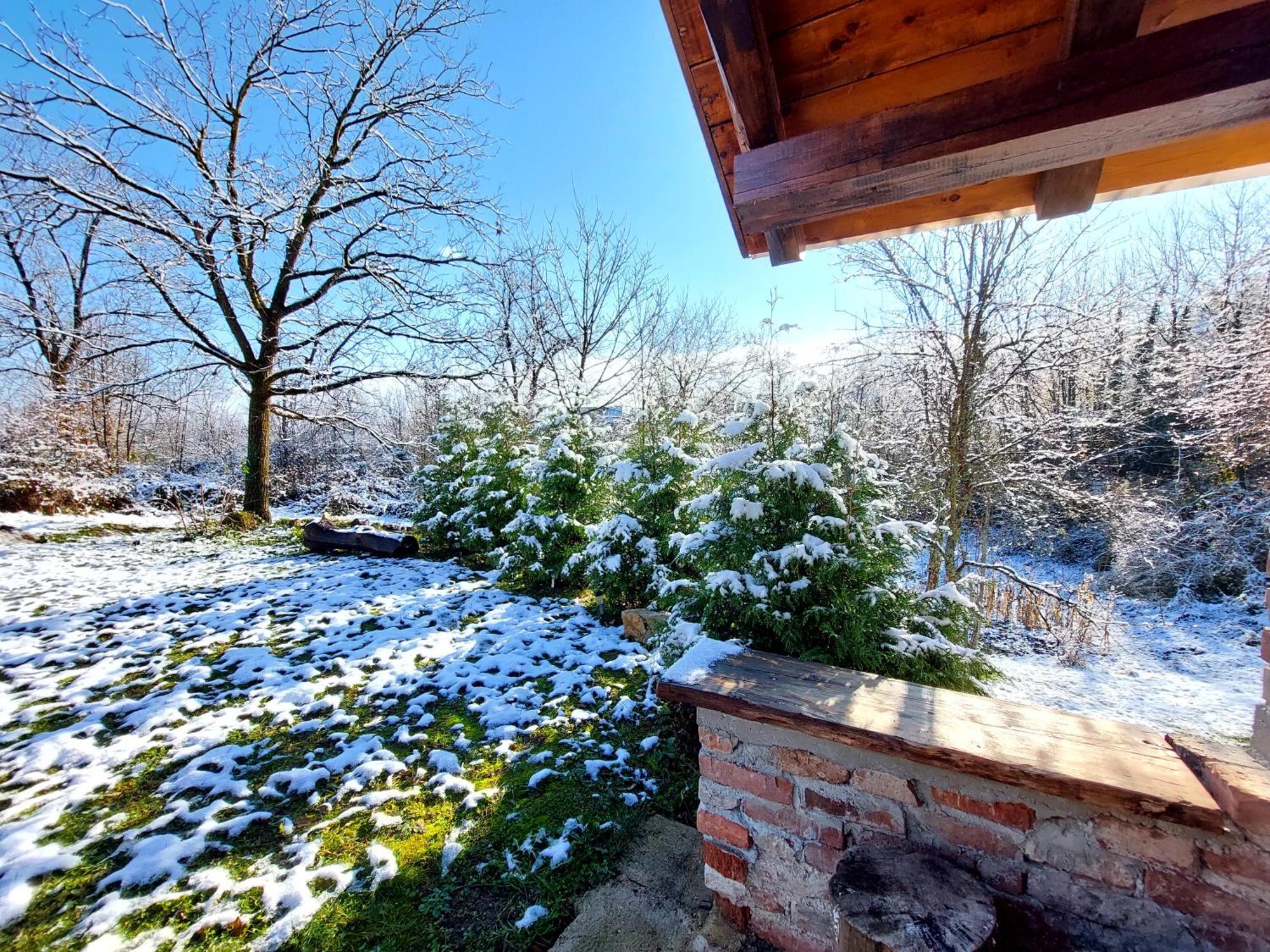 Holiday Home The Hive スルニュ エクステリア 写真